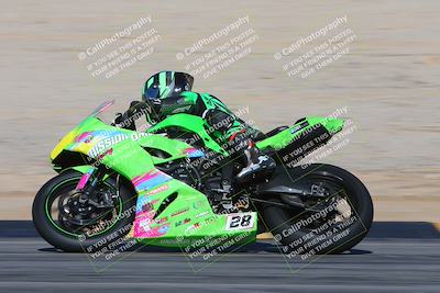 media/Feb-04-2024-SoCal Trackdays (Sun) [[91d6515b1d]]/4-Bowl Backside (11am)/